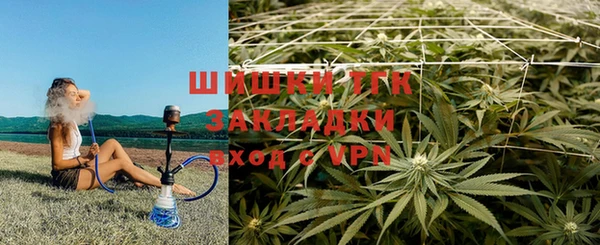 альфа пвп Заводоуковск