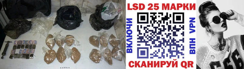 блэк спрут как зайти  Приморск  LSD-25 экстази ecstasy 