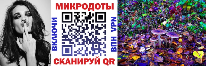 закладка  Приморск  Галлюциногенные грибы Psilocybe 